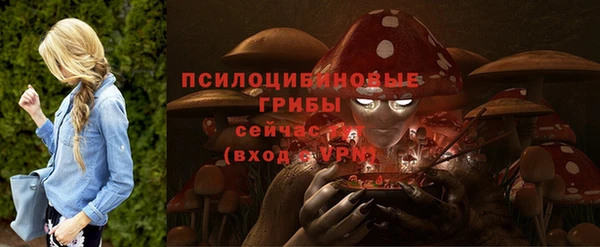 соль курить ск Алексин