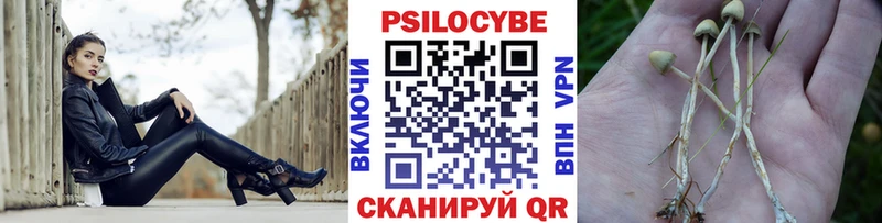 Галлюциногенные грибы мухоморы  Новоузенск 